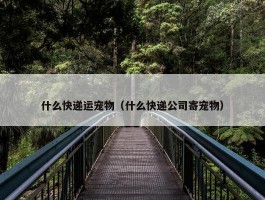 什么快递运宠物（什么快递公司寄宠物）