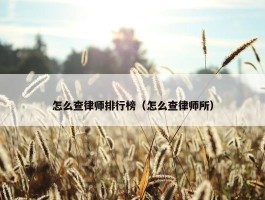 怎么查律师排行榜（怎么查律师所）