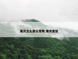 黑月怎么显示宠物 黑月套装