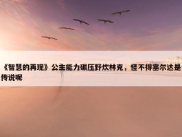 《智慧的再现》公主能力碾压野炊林克，怪不得塞尔达是传说呢