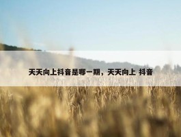 天天向上抖音是哪一期，天天向上 抖音