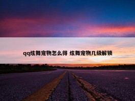 qq炫舞宠物怎么得 炫舞宠物几级解锁