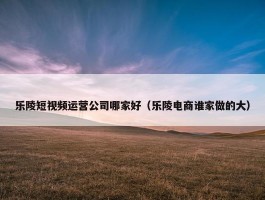 乐陵短视频运营公司哪家好（乐陵电商谁家做的大）