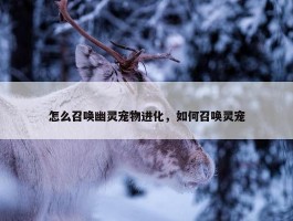 怎么召唤幽灵宠物进化，如何召唤灵宠