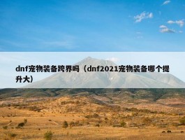 dnf宠物装备跨界吗（dnf2021宠物装备哪个提升大）