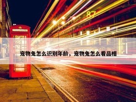 宠物兔怎么识别年龄，宠物兔怎么看品相