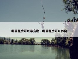 哪里租房可以带宠物，哪里租房可以养狗