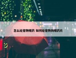 怎么给宠物喂药 如何给宠物狗喂药片