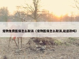 宠物免费医保怎么取消（宠物医保怎么取消,能退款吗）