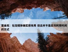 雷迪克：社交媒体确实很有用 但这并不是高效利用时间的方式