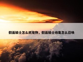 假面骑士怎么抓宠物，假面骑士收集怎么召唤