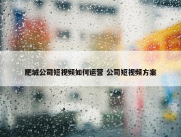 肥城公司短视频如何运营 公司短视频方案