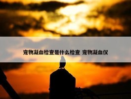 宠物凝血检查是什么检查 宠物凝血仪