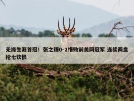 无缘生涯首冠！张之臻0-2惜败前美网冠军 连续两盘抢七饮恨