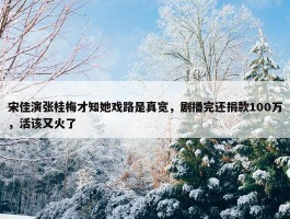 宋佳演张桂梅才知她戏路是真宽，剧播完还捐款100万，活该又火了