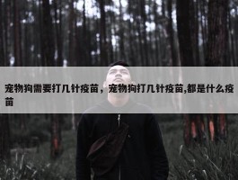 宠物狗需要打几针疫苗，宠物狗打几针疫苗,都是什么疫苗