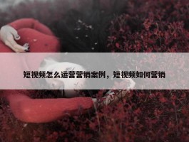 短视频怎么运营营销案例，短视频如何营销