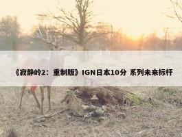 《寂静岭2：重制版》IGN日本10分 系列未来标杆