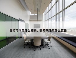 冒险可以带什么宠物，冒险玩法用什么英雄