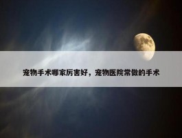 宠物手术哪家厉害好，宠物医院常做的手术