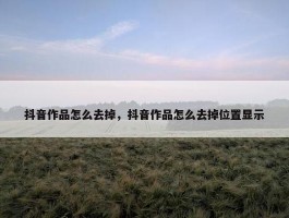 抖音作品怎么去掉，抖音作品怎么去掉位置显示