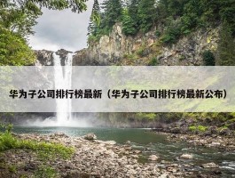 华为子公司排行榜最新（华为子公司排行榜最新公布）