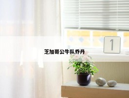 芝加哥公牛队乔丹