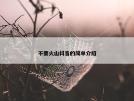 不要火山抖音的简单介绍