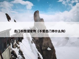 出门不想溜宠物（不爱出门养什么狗）