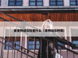 查宠物结石检查什么（宠物结石种类）