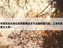 布莱克尼无缘以色列联赛后又与法国联赛沟通，上海对其恨之入骨！