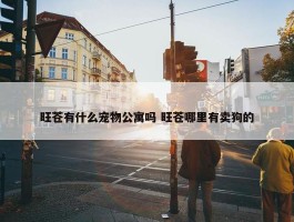 旺苍有什么宠物公寓吗 旺苍哪里有卖狗的