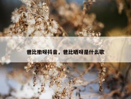 爸比撒呀抖音，爸比晒呀是什么歌