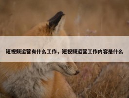 短视频运营有什么工作，短视频运营工作内容是什么