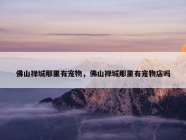 佛山禅城那里有宠物，佛山禅城那里有宠物店吗