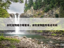 余杭宠物婚介哪里有，余杭宠物医院电话号码