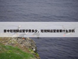 晋中短视频运营学费多少，短视频运营需要什么学历