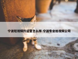 宁波短视频代运营怎么样 宁波专业拍视频公司