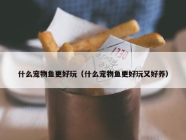 什么宠物鱼更好玩（什么宠物鱼更好玩又好养）