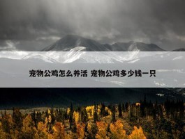 宠物公鸡怎么养活 宠物公鸡多少钱一只