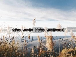 宠物怎么用财神（宠物怎么用财神摆放）