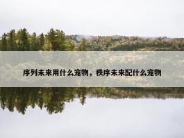 序列未来用什么宠物，秩序未来配什么宠物