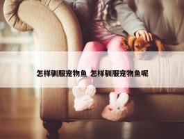 怎样驯服宠物鱼 怎样驯服宠物鱼呢