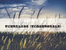 梦幻宠物怎么点修炼（梦幻西游宠物修炼怎么弄）