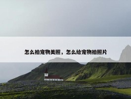 怎么拍宠物美照，怎么给宠物拍照片