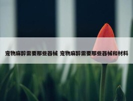 宠物麻醉需要那些器械 宠物麻醉需要那些器械和材料