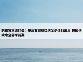 鹈鹕官宣遭打击：墨菲右腿筋拉伤至少休战三周 将因伤缺席全部季前赛