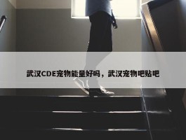 武汉CDE宠物能量好吗，武汉宠物吧贴吧