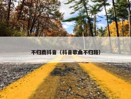 不归鹿抖音（抖音歌曲不归路）