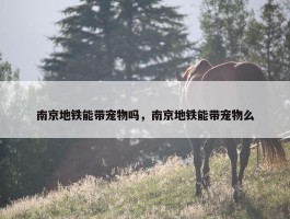 南京地铁能带宠物吗，南京地铁能带宠物么